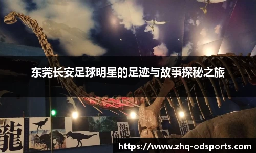 东莞长安足球明星的足迹与故事探秘之旅